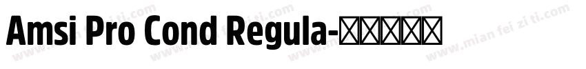 Amsi Pro Cond Regula字体转换